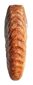 iserensis ventre