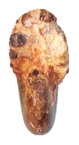 subalpinum face