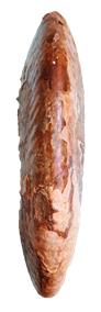 tenuicostulatum ventre